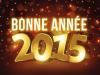 Bonne et Heureuse Année 2015